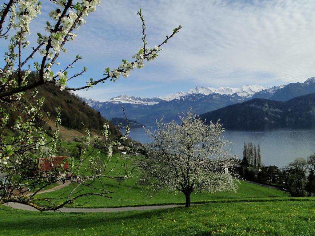 Seehotel Gotthard Weggis Dış mekan fotoğraf