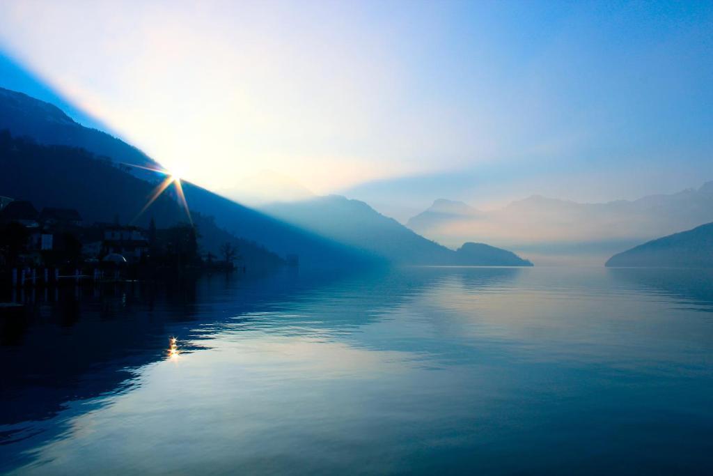 Seehotel Gotthard Weggis Dış mekan fotoğraf