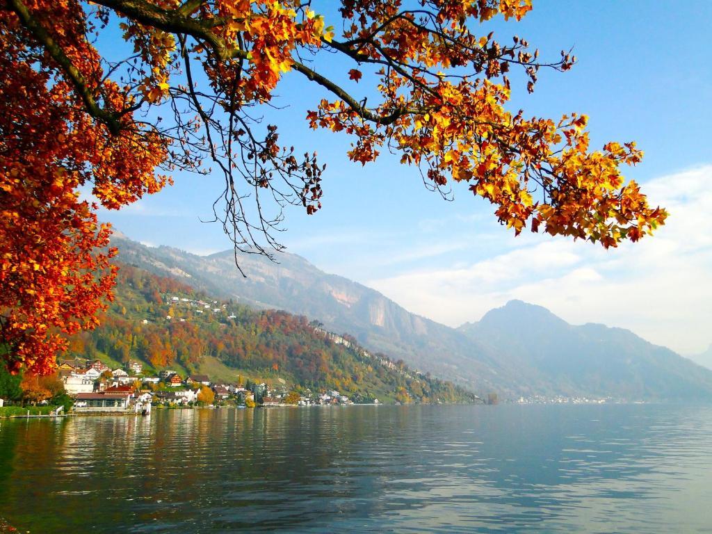 Seehotel Gotthard Weggis Dış mekan fotoğraf