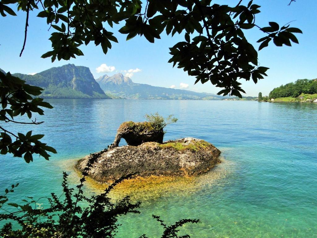 Seehotel Gotthard Weggis Dış mekan fotoğraf